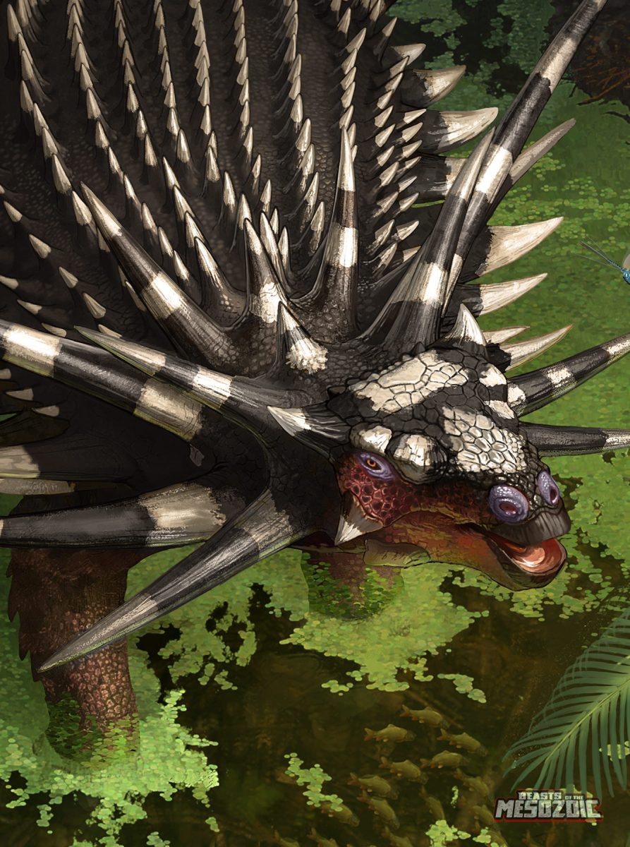 Spicomellus afer-art2