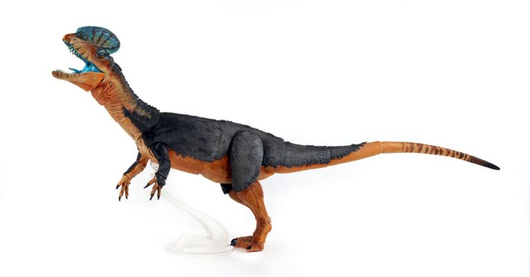 Dilophosaurus: What Jurassic Park Got Right and Wrong Dilophosaurus: What Jurassic Park Got Right and Wrong