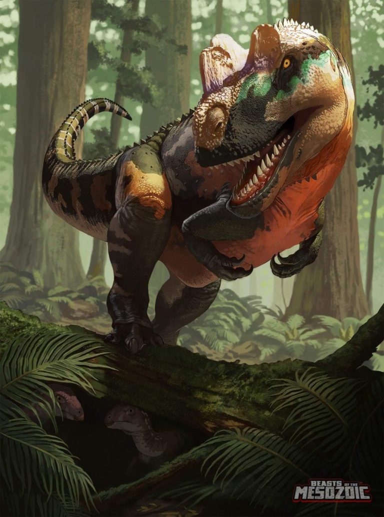Ceratosaurus dentisulcatus1 Ceratosaurus dentisulcatus package art first look!