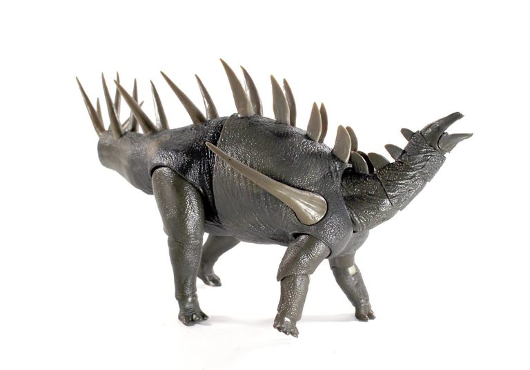 Kentrosaurus aethiopicus test shot1 Kentrosaurus aethiopicus test shot photos