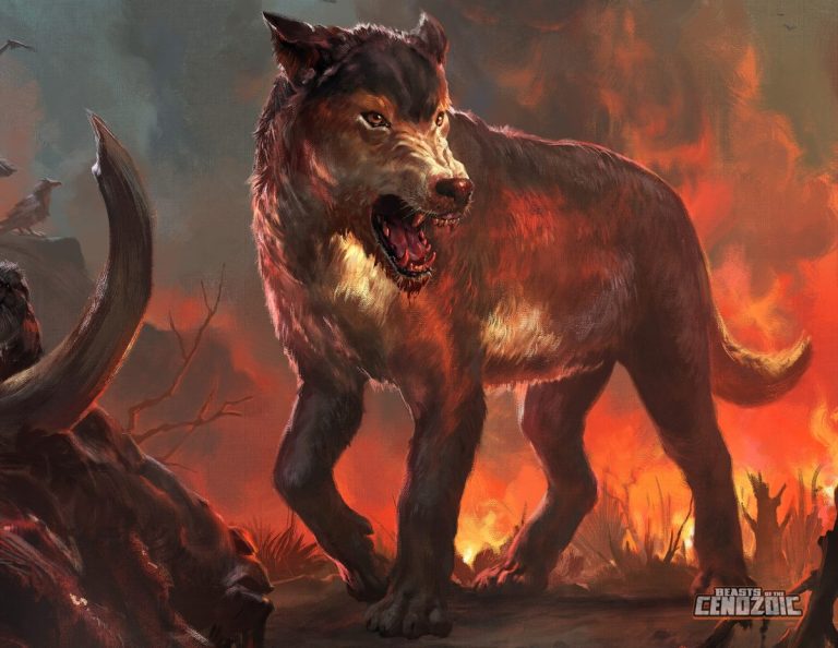Dire Wolf (Aenocyon dirus) package art reveal!