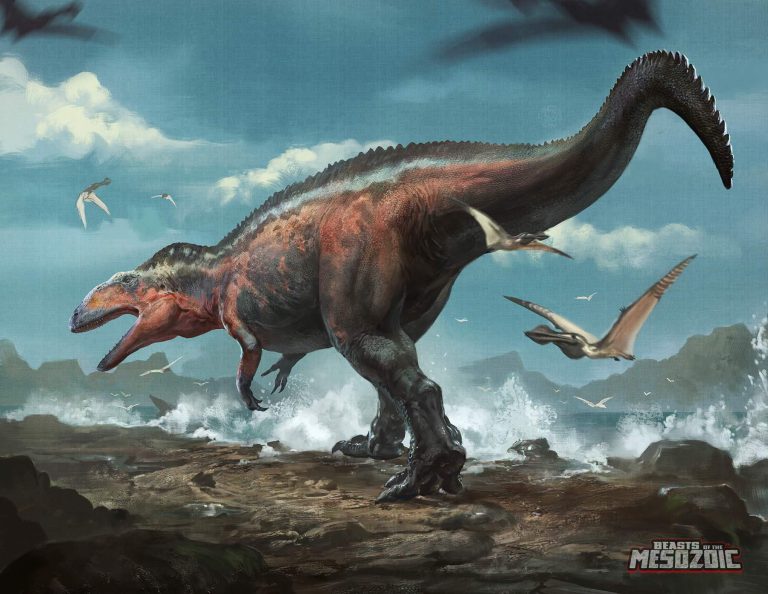 Acrocanthosaurus atokensis package art reveal!