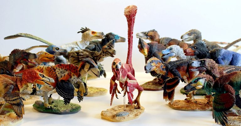 Raptors That You Might Not Have Heard of Before