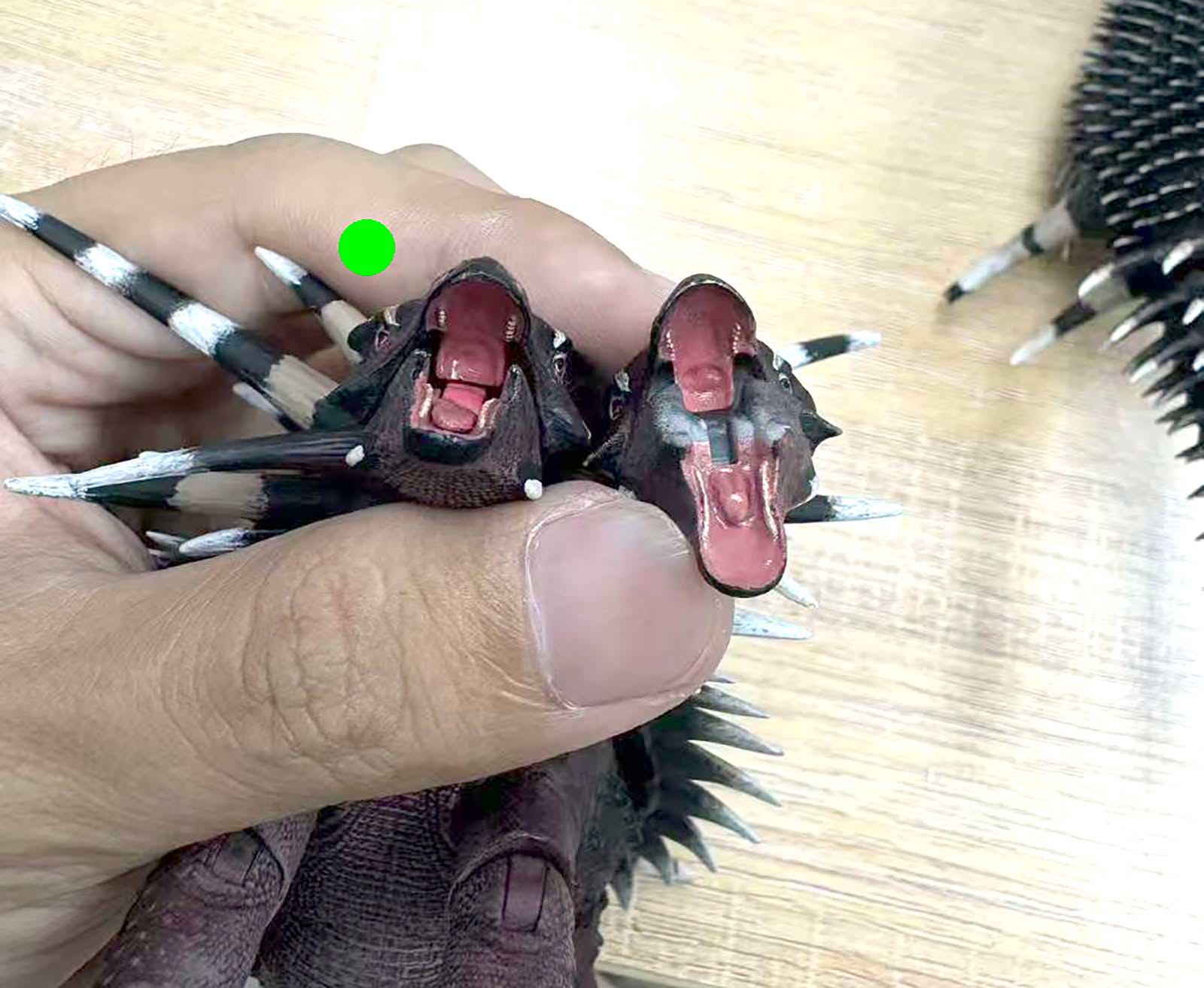 Kentrosaurus and Spicomellus-paint-samples10