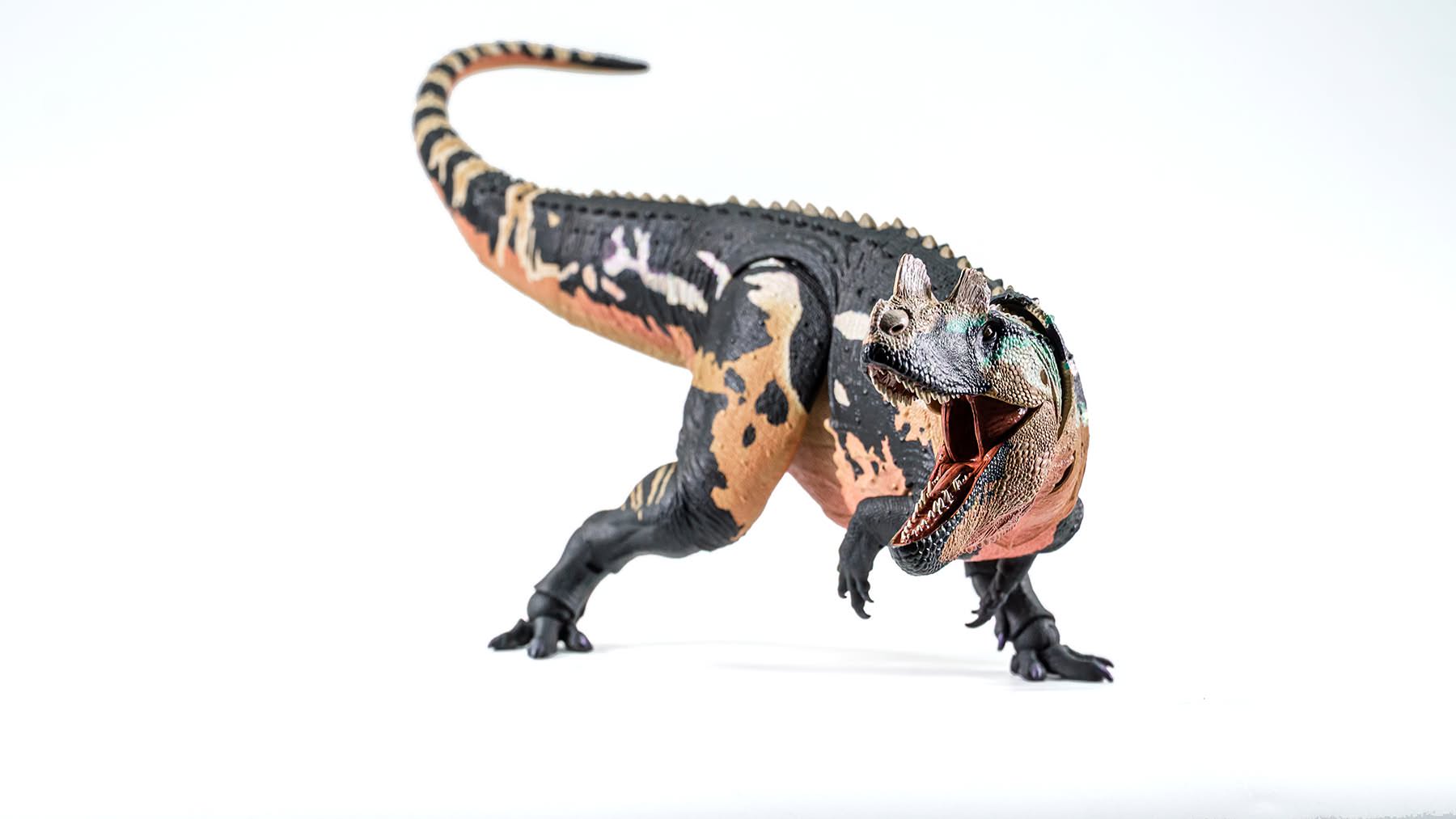 Beasts of the Mesozoic 1/18 Scale Ceratosaurus dentisulcatus Final Product Photos Beasts of the Mesozoic 1/18 scale Ceratosaurus dentisulcatus dinosaur figure final product photos