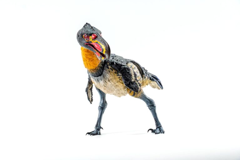 Cenozoic 1/12 scale Kelenken guillermoi terror bird action figure.